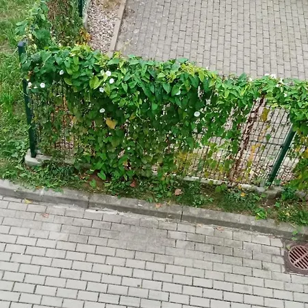 Apartment Pepe 40 Mkw Stettin